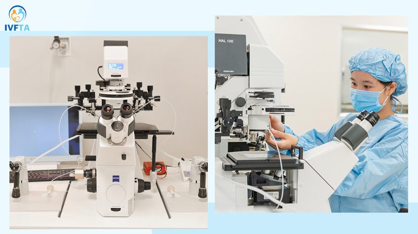 Kính hiển vi đảo ngược mang lại hiệu quả cao trong quy trình đòi hỏi sự tỉ mỉ, chính xác tuyệt đối như ICSI hay sinh thiết phôi Kính hiển vi đảo ngược mang lại hiệu quả cao trong quy trình đòi hỏi sự tỉ mỉ, chính xác tuyệt đối như ICSI hay sinh thiết phôi