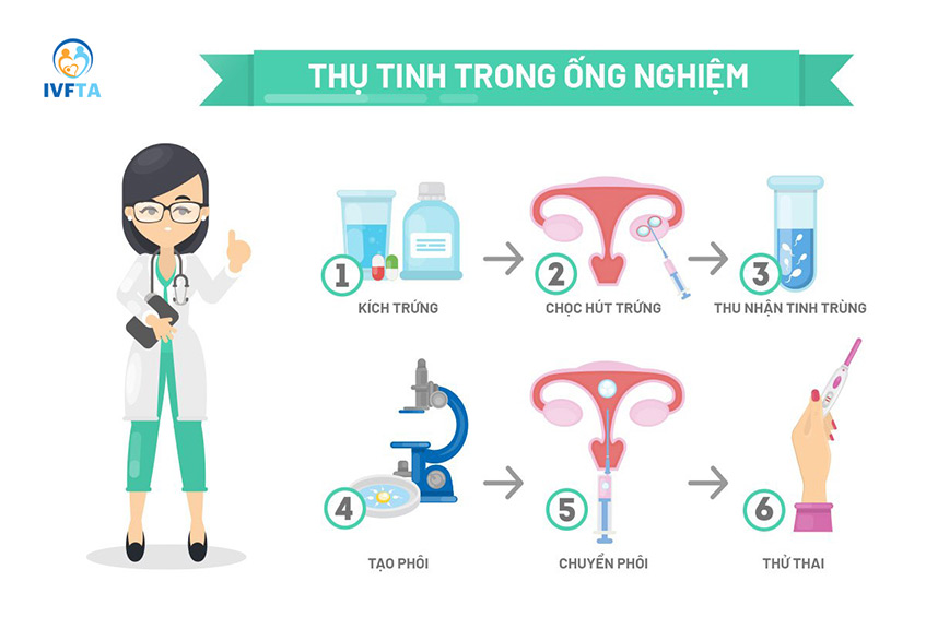 Quy trình thụ tinh ống nghiệm tại IVFTA