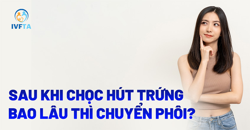 Sau khi chọc hút trứng bao lâu thì chuyển phôi? Sau khi chọc hút trứng bao lâu thì chuyển phôi?