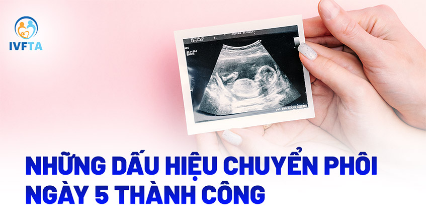 Dấu hiệu chuyển phôi ngày 5 thành công