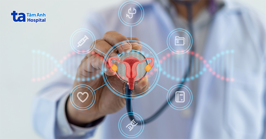 Ống dẫn trứng là cơ quan nối buồng trứng và tử cung