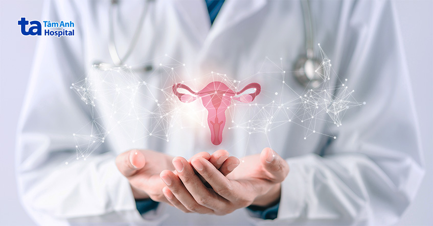 Ống dẫn trứng là nơi trứng và tinh trùng gặp nhau