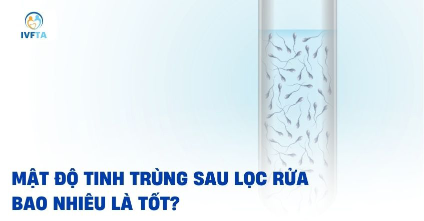 Kết quả mật độ tinh trùng sau lọc rửa bao nhiêu là tốt đạt chất lượng?