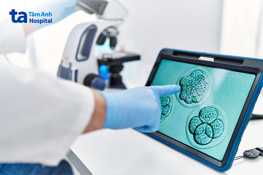 phôi thể khảm là gì