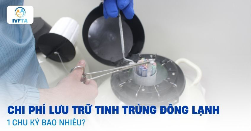 Chi phí lưu trữ tinh trùng đông lạnh giá bao nhiêu 1 chu kỳ?