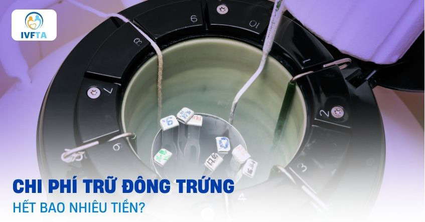 Chi phí trữ đông trứng là bao nhiêu tiền? 5 yếu tố tác động giá
