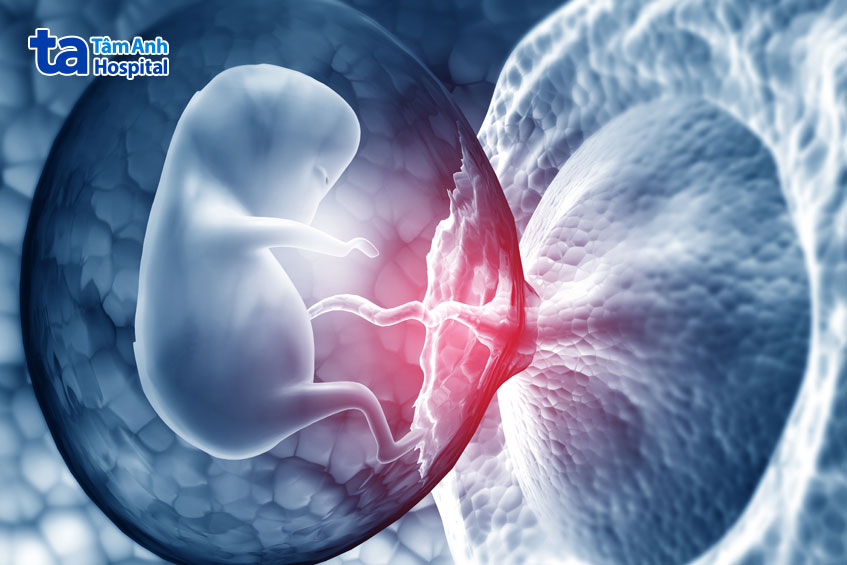 hiện tượng làm tổ của phôi