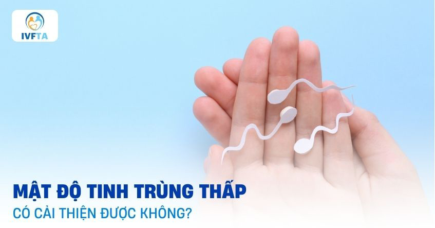 Mật độ tinh trùng thấp