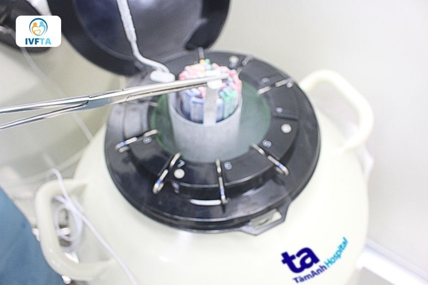 Mẫu tinh trùng được bảo quản trong bình nitơ lỏng ở nhiệt độ -196 độ C Mẫu tinh trùng được bảo quản trong bình nitơ lỏng ở nhiệt độ -196 độ C