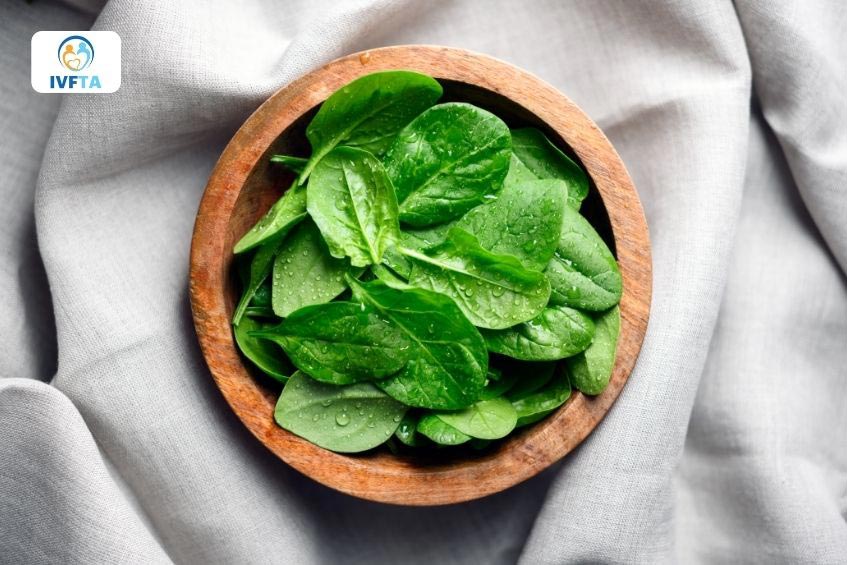 Nam giới ăn nhiều rau bina giúp đảm bảo hình thái và ngăn ngừa các bất thường ở tinh trùng Nam giới ăn nhiều rau bina giúp đảm bảo hình thái và ngăn ngừa các bất thường ở tinh trùng