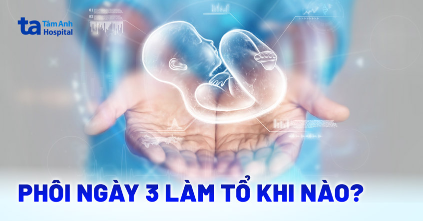 phôi ngày 3 làm tổ khi nào