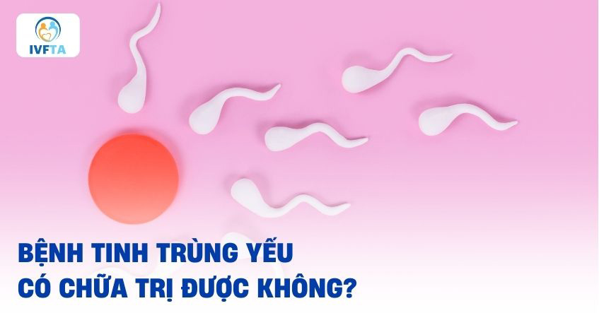 Tinh trùng yếu có chữa được không?