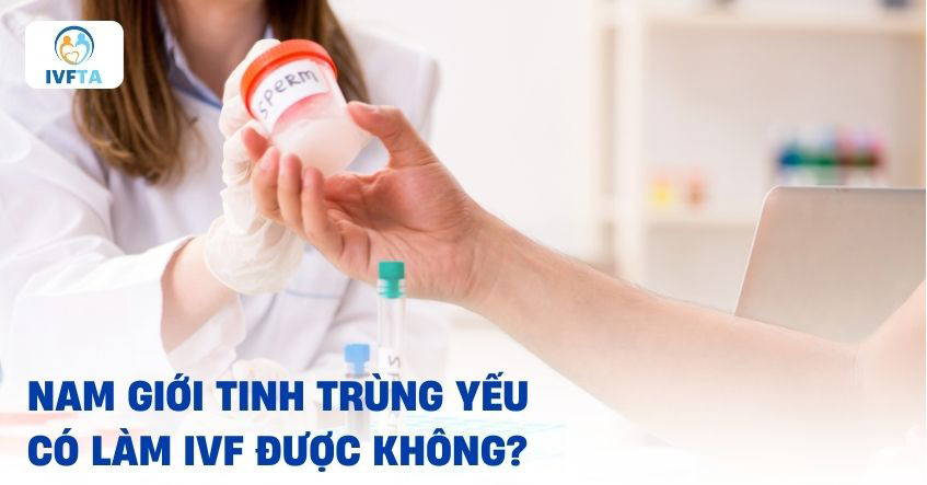 Tinh trùng yếu có làm IVF được không? Tinh trùng yếu có làm IVF được không?