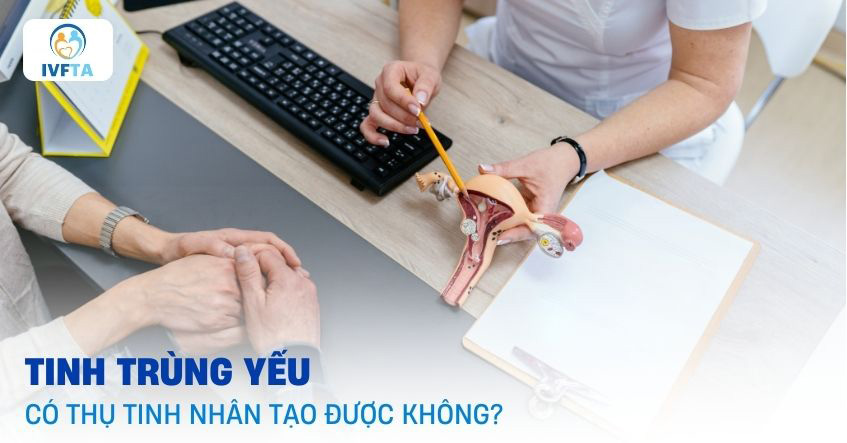 Tinh trùng yếu có thụ tinh nhân tạo được không? Tinh trùng yếu có thụ tinh nhân tạo được không?