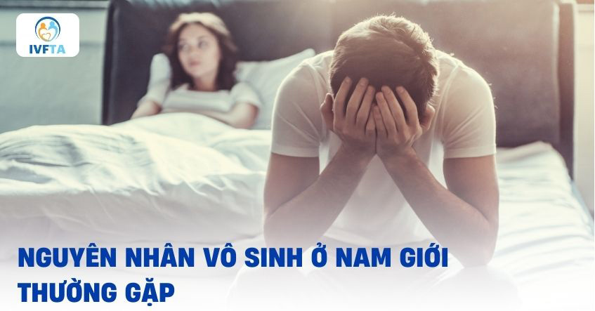 Những nguyên nhân gây vô sinh ở nam giới Những nguyên nhân gây vô sinh ở nam giới