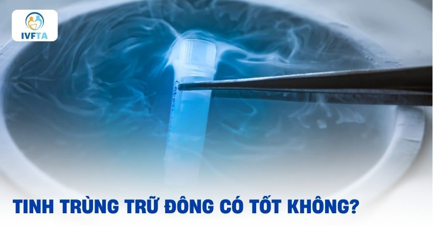 Tinh trùng trữ đông có tốt không? Chất lượng có như bình thường?