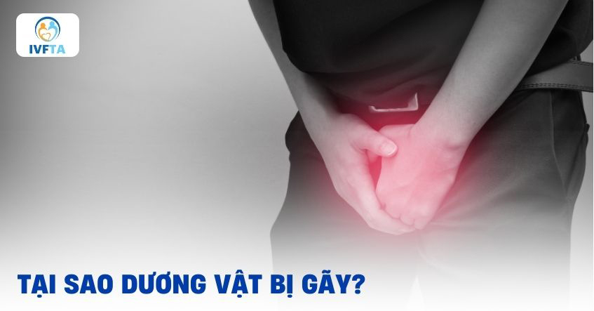 Gãy dương vật Gãy dương vật