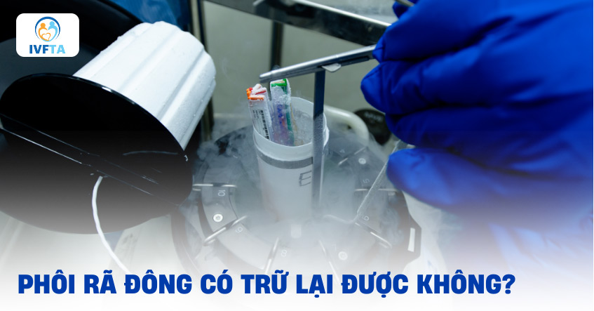 Phôi rã đông có trữ lại được không? Phôi rã đông có trữ lại được không?