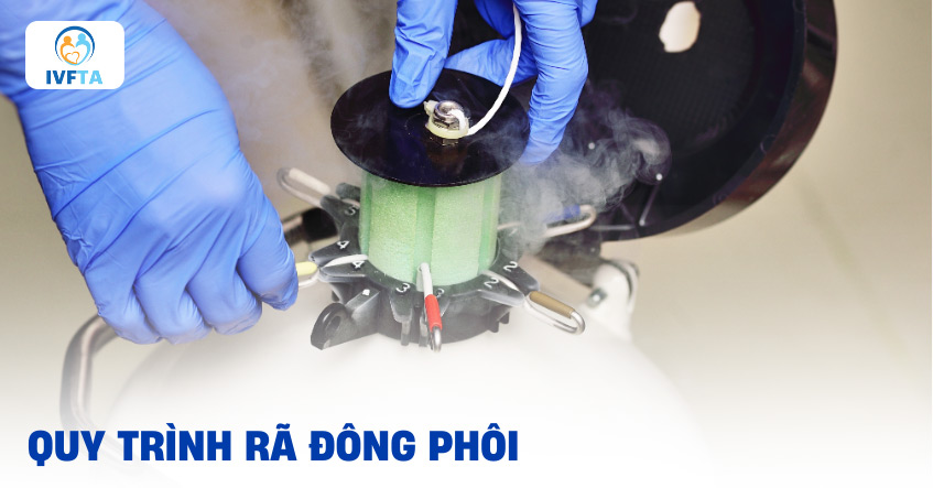 Quy trình rã đông phôi mất bao lâu? Quy trình rã đông phôi mất bao lâu?