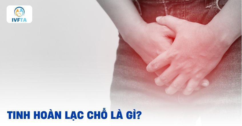Tinh hoàn lạc chỗ là gì?