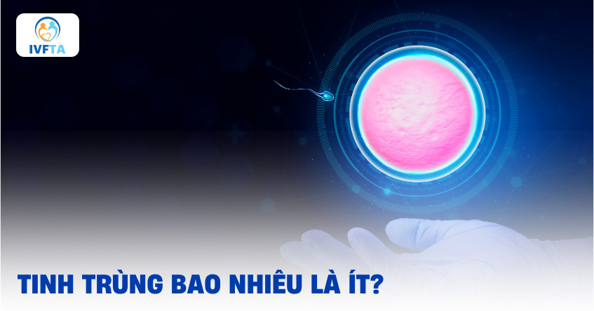 Tinh trùng ít do đâu?