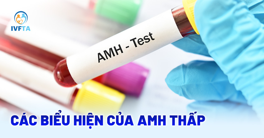 các biểu hiện của amh thấp qua các dấu hiệu các biểu hiện của amh thấp qua các dấu hiệu
