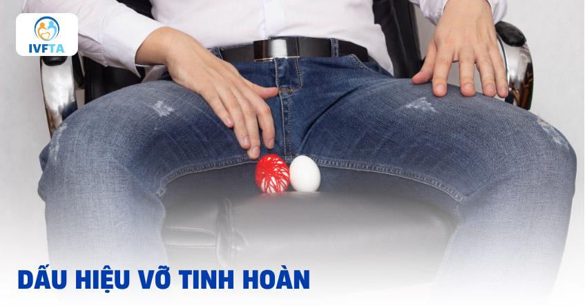 Vỡ tinh hoàn là gì? Vỡ tinh hoàn là gì?