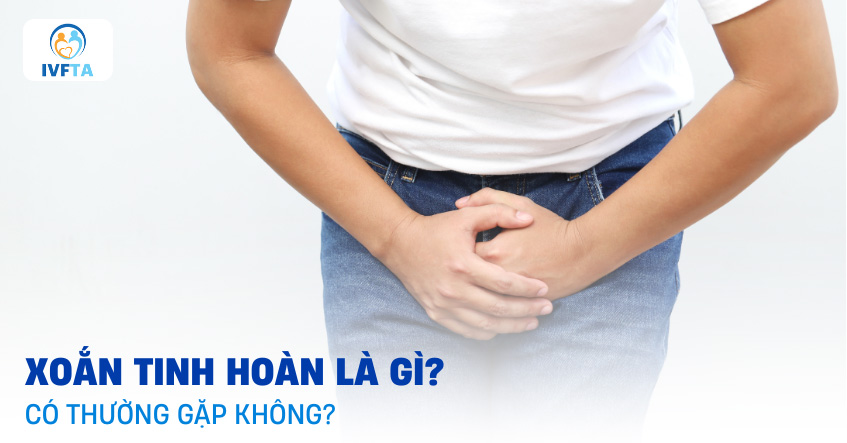 Xoắn tinh hoàn là gì?
