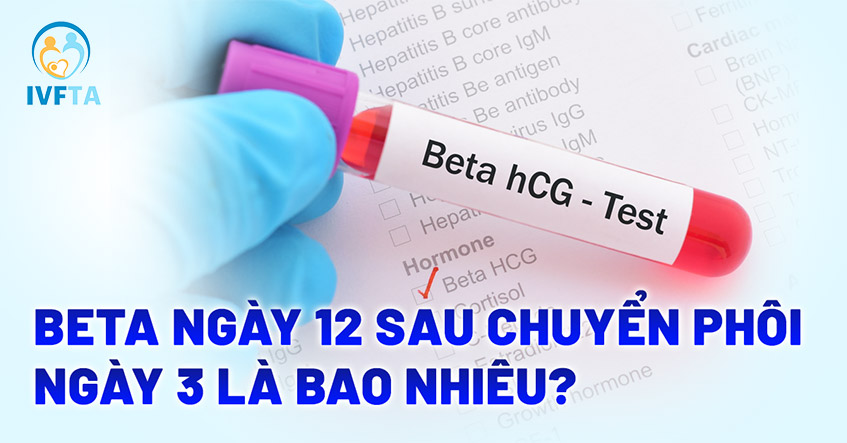 Beta ngày 12 sau chuyển phôi ngày 3 là bao nhiêu?