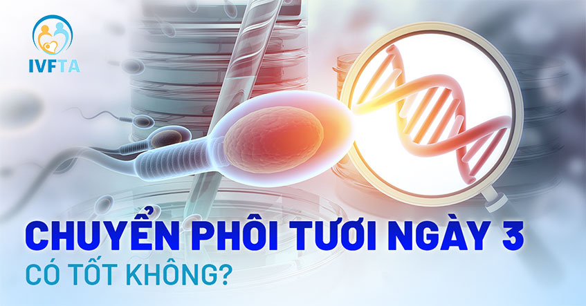chuyển phôi tươi ngày 3 có tốt không