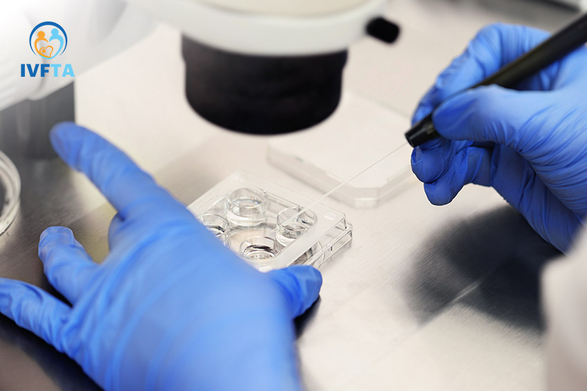 Việc hiến trứng cho mục đích nhân đạođược thực hiện 01 lần cho 01 cặp vợ chồng và chỉ tại một cơ sở y tế đã được Bộ Y tế cấp phép Việc hiến trứng cho mục đích nhân đạođược thực hiện 01 lần cho 01 cặp vợ chồng và chỉ tại một cơ sở y tế đã được Bộ Y tế cấp phép