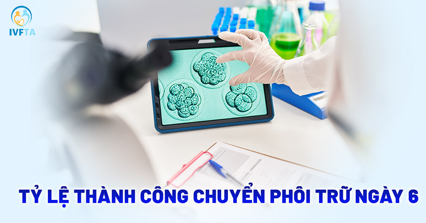 Tỷ lệ thành công chuyển phôi trữ ngày 6 bao nhiêu? Có cao không?