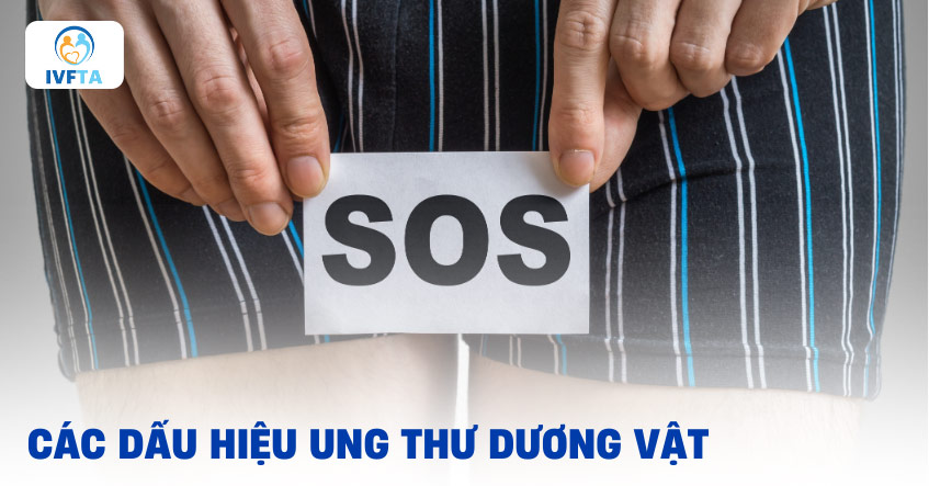 các dấu hiệu ung thư dương vật