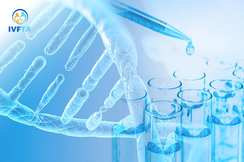 Di truyền là một trong những yếu tố ảnh hưởng đến khả năng sinh sản Di truyền là một trong những yếu tố ảnh hưởng đến khả năng sinh sản