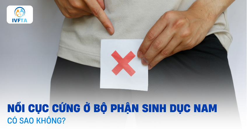 Nổi cục cứng ở bộ phận sinh dục nam