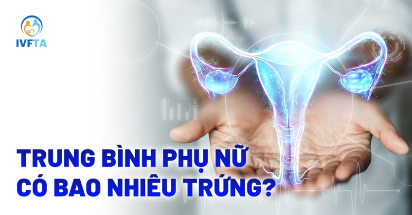 Phụ nữ có bao nhiêu trứng? Phụ nữ có bao nhiêu trứng?