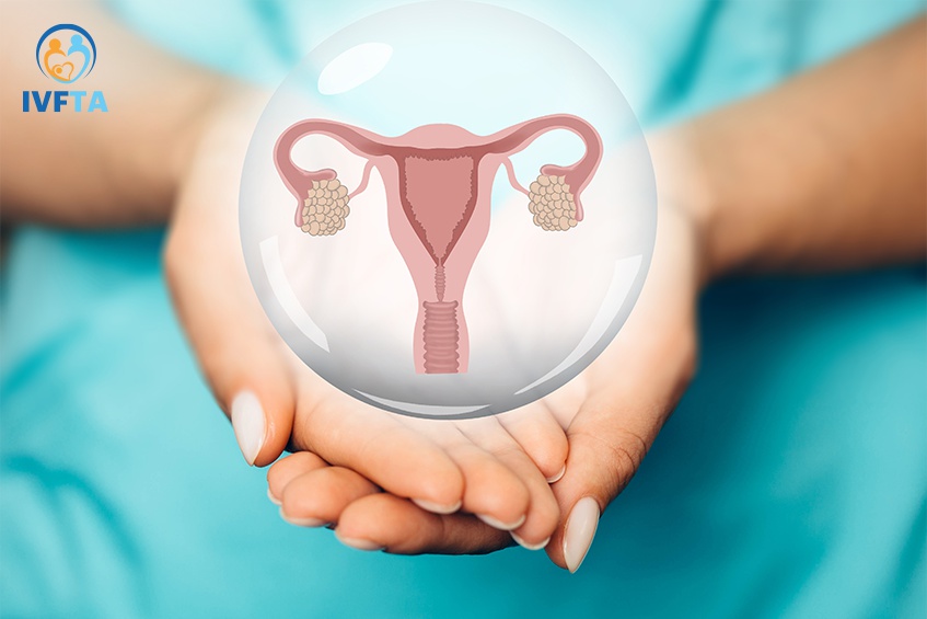 Số lượng trứng ở phụ nữ sẽ suy giảm dần theo tuổi tác Số lượng trứng ở phụ nữ sẽ suy giảm dần theo tuổi tác