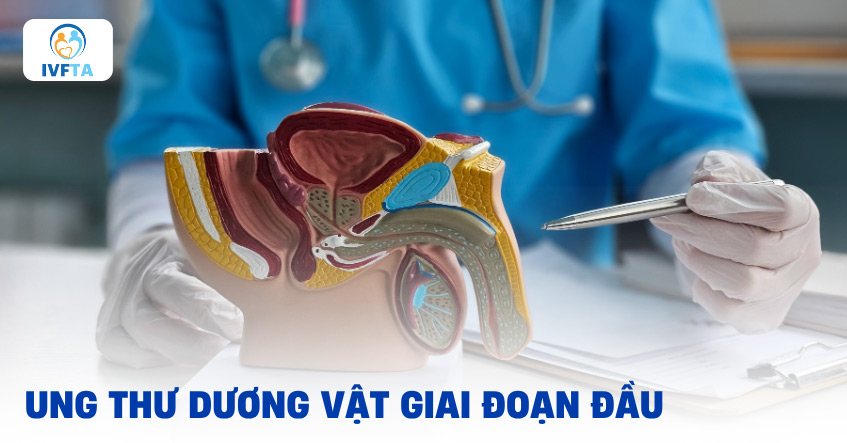 Ung thư dương vật giai đoạn đầu: Hình ảnh triệu chứng, chẩn đoán