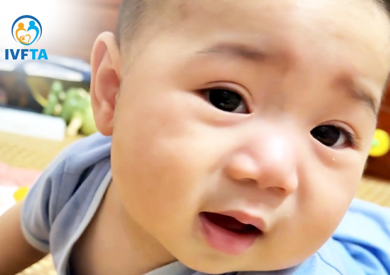 Chuyển phôi đầu thành con