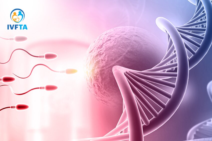 Yếu tố di truyền có thể ảnh hưởng đến khả năng sinh sản Yếu tố di truyền có thể ảnh hưởng đến khả năng sinh sản