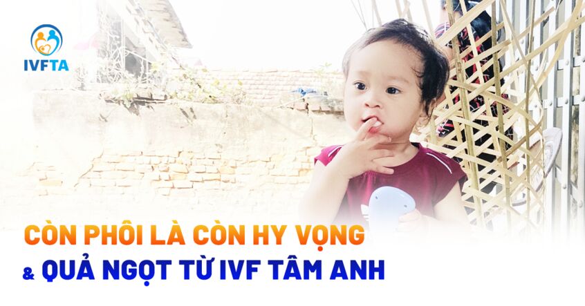 còn phôi là còn hy vọng và quả ngọt từ ivf tâm anh còn phôi là còn hy vọng và quả ngọt từ ivf tâm anh