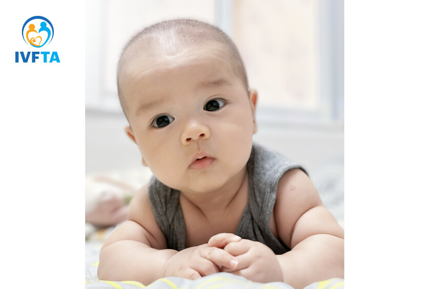 em bé ivf đỗ nhật minh em bé ivf đỗ nhật minh