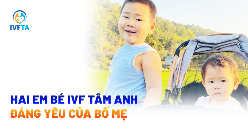 hai em bé ivf tâm anh đáng yêu của bố mẹ hai em bé ivf tâm anh đáng yêu của bố mẹ