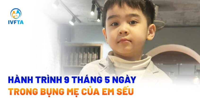 hành trình 9 tháng 5 ngày trong bụng mẹ hành trình 9 tháng 5 ngày trong bụng mẹ