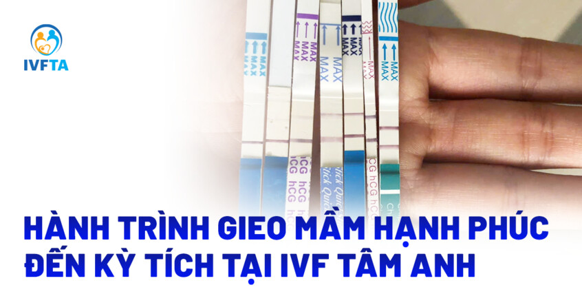 hành trình gieo mầm hạnh phúc tại ivf tâm anh hành trình gieo mầm hạnh phúc tại ivf tâm anh