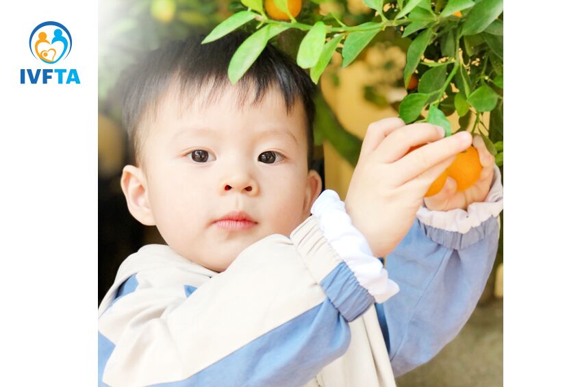 hoàng tử nhỏ của mẹ kim anh
