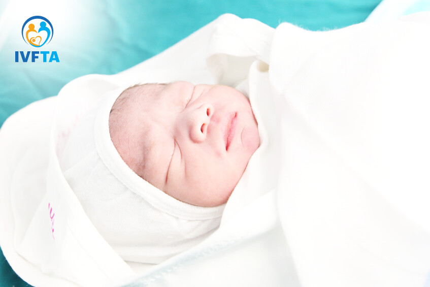 mèo vàng của mẹ lan anh