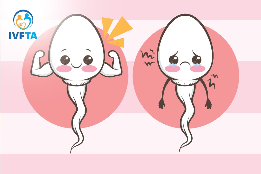 Một số thực phẩm có thể ảnh hưởng đến chất lượng tinh trùng