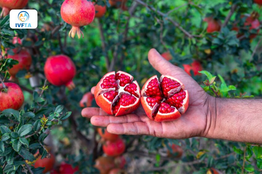 Lựu là loại trái cây giàu dinh dưỡng và không ảnh hưởng xấu sức khỏe sinh sản