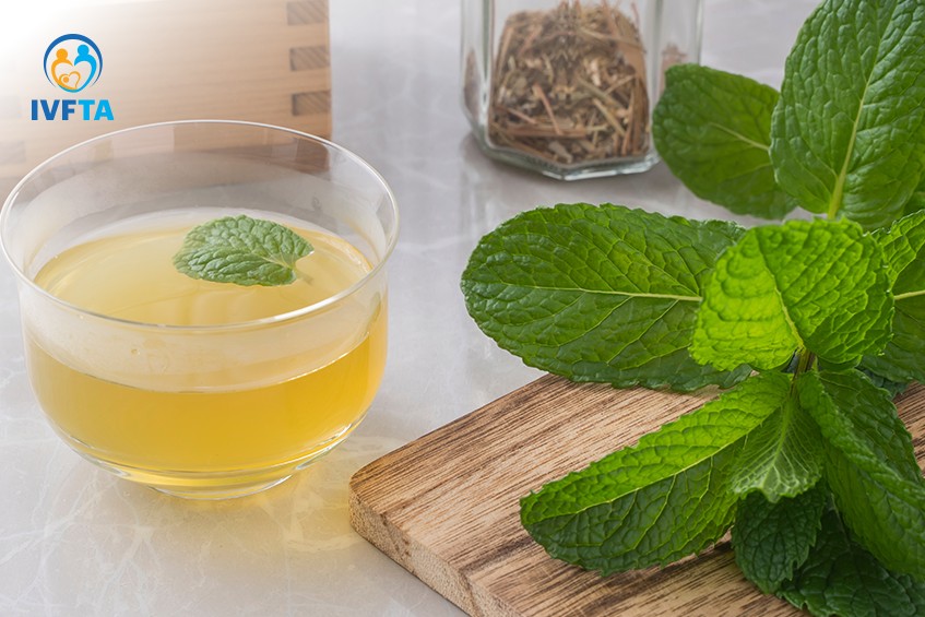 Bạc hà không gây vô sinh nếu sử dụng đúng liều lượng và hợp lý Bạc hà không gây vô sinh nếu sử dụng đúng liều lượng và hợp lý